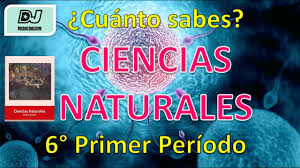 Libros de texto 1º, 2º y 3º. Libro De Ciencias Naturales De 6 Grado Contestado Libros Famosos Cute766
