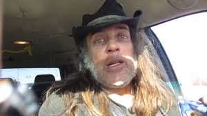 The David Lovins Show