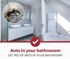 Then, spray around the entrance the ants are using. How To Get Rid Of Ants In Your Bathroom 2021 Review Pest Strategies