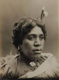 Aotearoa New Zealand History