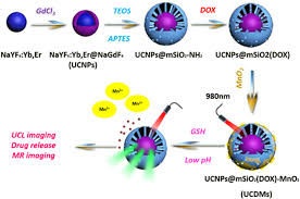 Only a limited number of deposits contain the γ modification in purity sufficient. Biomedical Application Of Manganese Dioxide Nanomaterials Iopscience