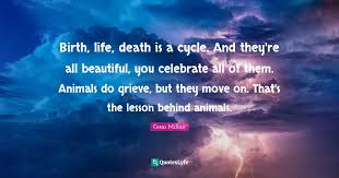 The driver saw me at the last minute and we both managed to back out, just in time. Birth Life Death Is A Cycle And They Re All Beautiful You Celebrat Quote By Cesar Millan Quoteslyfe