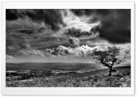 Black And White Scenery Wallpaper Black Ultra Hd Wallpapers For Uhd Widescreen Ultrawide Multi Black And White Landscape Black And White Wallpaper Scenery Wallpaper
