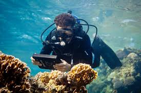 King Abdullah University Of Science And Technology