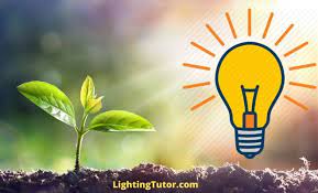 We have taken a look at this potentially exciting technology to give you. Can Led Lights Be Used As Grow Lights Lighting Tutor