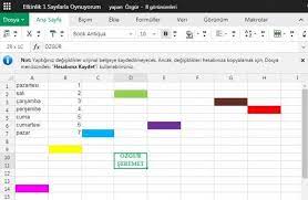 Excel Etkinligi 1 Sayilarla Oynuyorum Ozgur Seremet