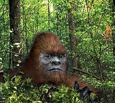 Bigfoot (also known as sasquatch) is a mythical creature alleged by some to live in remote north american forests in the pacific northwest. South American Bigfoot Cryptid Wiki Fandom