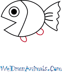 How To Draw A Realistic Fish The images above represents how your finished drawing is going to look and the steps involved.