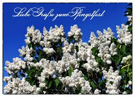Feiertage pfingsten schoene sprüche und zitate schoene feiertage pfingsten herunterladen schoene feiertage pfingsten schreib weiter bilder schoene feiertage pfingstenherunterladen schoene… Greeting Card Pfingstgruesse Send A E Card Greeting Cards Pentecost Pfingstgruesse To Your Loved Ones
