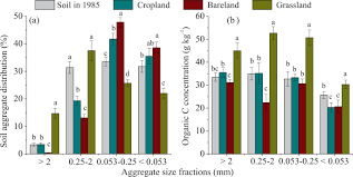 These are some of our most ambitious editori. 31 Year Contrasting Agricultural Managements Affect The Distribution Of Organic Carbon In Aggregate Sized Fractions Of A Mollisol Scientific Reports