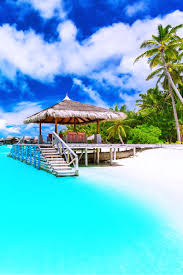 Discover Zika Free South Pacific Islands Easy Planet Travel Dream Vacations Vacation Places Places To Travel
