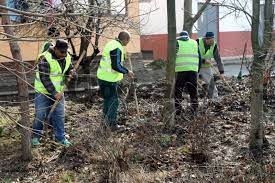 Propunere LegislativÄƒ MuncÄƒ In Folosul ComunitÄƒÈ›ii Pentru Cei Care Nu IÈ™i PlÄƒtesc Amenzile Stiri De Ultima Ora Din Cluj Napoca