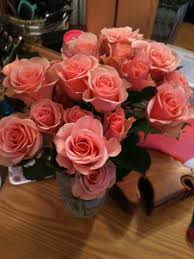 Check spelling or type a new query. My Boyfriend Got Me Flowers D My Flower Flowers Rose