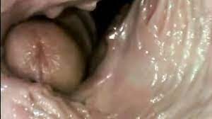 Hot mastrubation paar und blasen von freund gefilmt. Dick Endet In Der Vagina Nahaufnahme Von Innen Porno Video Online
