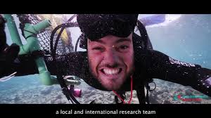 Esta playa artificial de Canarias es buena para los turistas... y los  tiburones