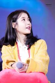 Iu 191215 Tvn Joy Festival Hoteldelluna