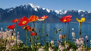 The European Tour France To Italy To Switzerland Travels Best Road Trips 2014 Travelchannel Com Road Trip Fun Europe Travel Packages Travel Fun
