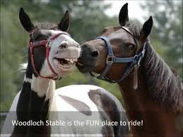 Check spelling or type a new query. About Woodloch Stable