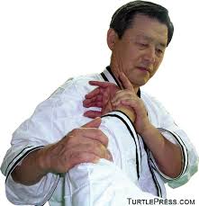 Learn a defense techniques against straight punches from two hapkido experts in this free martial arts instructional video. Hapkido Techniques An Overview Turtle Press