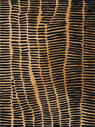 Mondonoir Lena Nyadbi Jimbala Country 2001 Natural Earth Pigments And Synthetic Binder On Canvas Pattern Art Aboriginal Art Indigenous Art