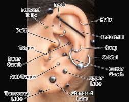 Ear Piercing Chart Ear Piercing Diagram Cute Ear Piercings Ear Piercings