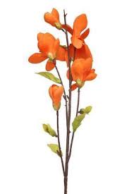 We did not find results for: Buy Ivy Orange Magnolia Stem Artificial Flowers Shoppers Stop
