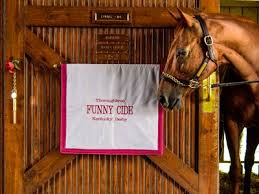Home Kentucky Horse Park