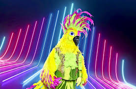 The masked singer logo youth purple tee. Neue Tv Show The Masked Singer Welcher Popstar Versteckt Sich In Diesem Vogel Kultur Stuttgarter Zeitung