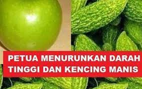 Kalo niat banget ngerawat kucing, dan budget gak cukup buat. Petua Dari Kampung Menurunkan Darah Tinggi Dan Kencing Manis