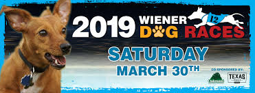 Wiener Dog Racing Sam Houston Race Park