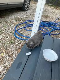 Found near South 6th St between Church St and Barnett St