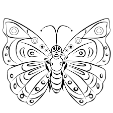 Sketsa kupu kupu kumpulan gambar dan cara menggambar lengkap. Download Mewarnai Gambar Kupu Kupu Alamendah S Blog