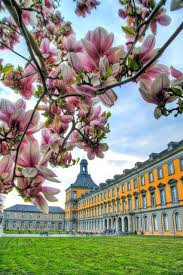 Pin By Suzanne Wilkinson Designer On Bonn Germany Germany Travel Germany Travel