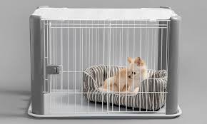You are pushing her beyond her limits, and presumably, on purpose. surely you know you are taking care of a baby? Crate Training Benefits Why A Crate Is Great For You And Your Dog