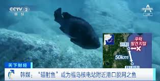 Make social videos in an instant: æ—¥æœ¬åˆçŽ° è¾å°„é±¼ å¤šå›½è®°è€…æ·±å…¥ç¦å²›è°ƒæŸ¥