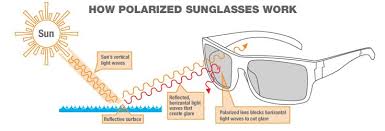 Polarised sunglasses offer a few benefits over regular tinted lenses, like glare reduction and ultraviolet (uv) protection. What Are Polarized Sunglasses Sierra Blog