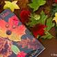Story & Craft: Leaf Man Craft event in New York, NY