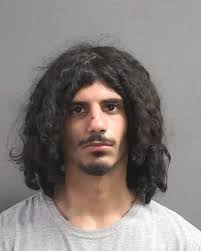 19-year-old ARIEL ESTEPA from ORANGE CITY was booked