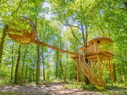 Cabane sur l'eau sorgues source google image: Top 25 Des Cabanes Dans Les Arbres Pour Une Nuit Insolite Dossier
