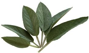 Comment Utiliser La Sauge Pour Une Sante D Enfer Astuces De Grand Mere Herbes Aromatiques Sauge Herbes De Cuisine
