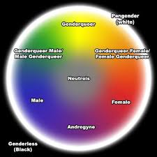 Pin On Gender Id Expression Queer Fluid Non Binary Etc