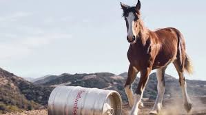 🦅 THE SOUL OF A NATION: BUDWEISER'S “AMERICAN ICONS” RECLAIMS THE STAGE 🎸 The Super Bowl hasn't even started, but the winner has already been declared. In a breathtaking 60-second masterpiece, Budweiser