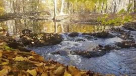Moshassuck River Preserve Hike