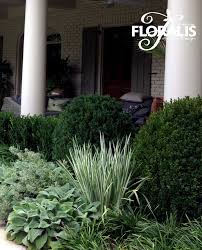 Garden Design And Installation By Floralis Garden Design Plants Garden
