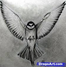 How To Draw A Realistic Bird Draw Real Bird Step By Step Birds Animals Free Online Drawing Tutorial Added By Finalprodigy November 1 Bird Art Pinte