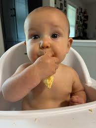 Can you please suggest veg food options for 7 months old? And also, how  meal schedule look like at this age?what can I offer her for finger foods? 