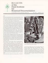 Image result for Pavetta rwandensis