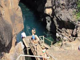 Camiadventures Travel Specialist (2025)