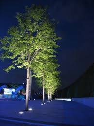 Tree Lighting Landscape Lighting Design Landscape Lighting Outdoor Lighting Design