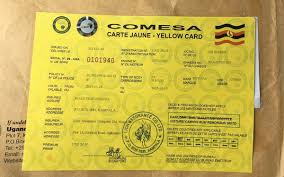 A traveler checking cross-border authorization paperwork and a COMESA Yellow Card insurance folder inside a Rwanda car hire vehicle